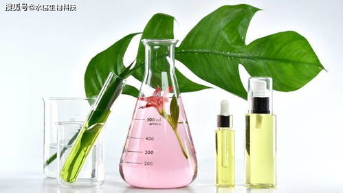 馬齒莧提取物在護膚品與化妝品中的優(yōu)勢與適用性